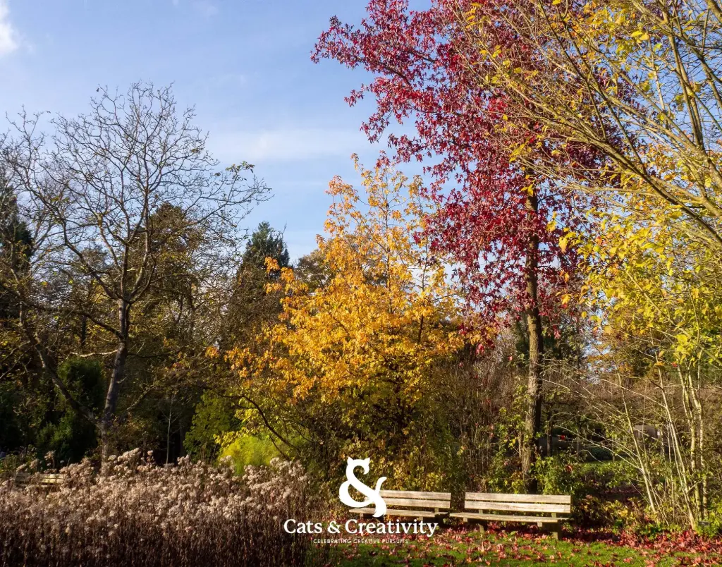 Autumn Atmosphere