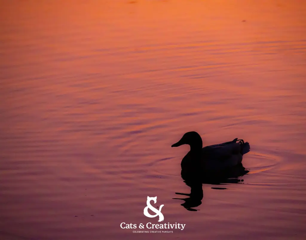 The Duck