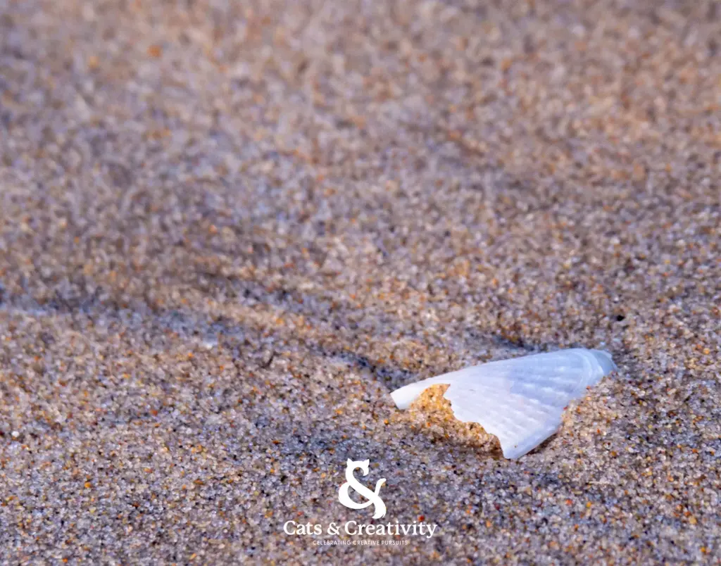 [O004] Shell
