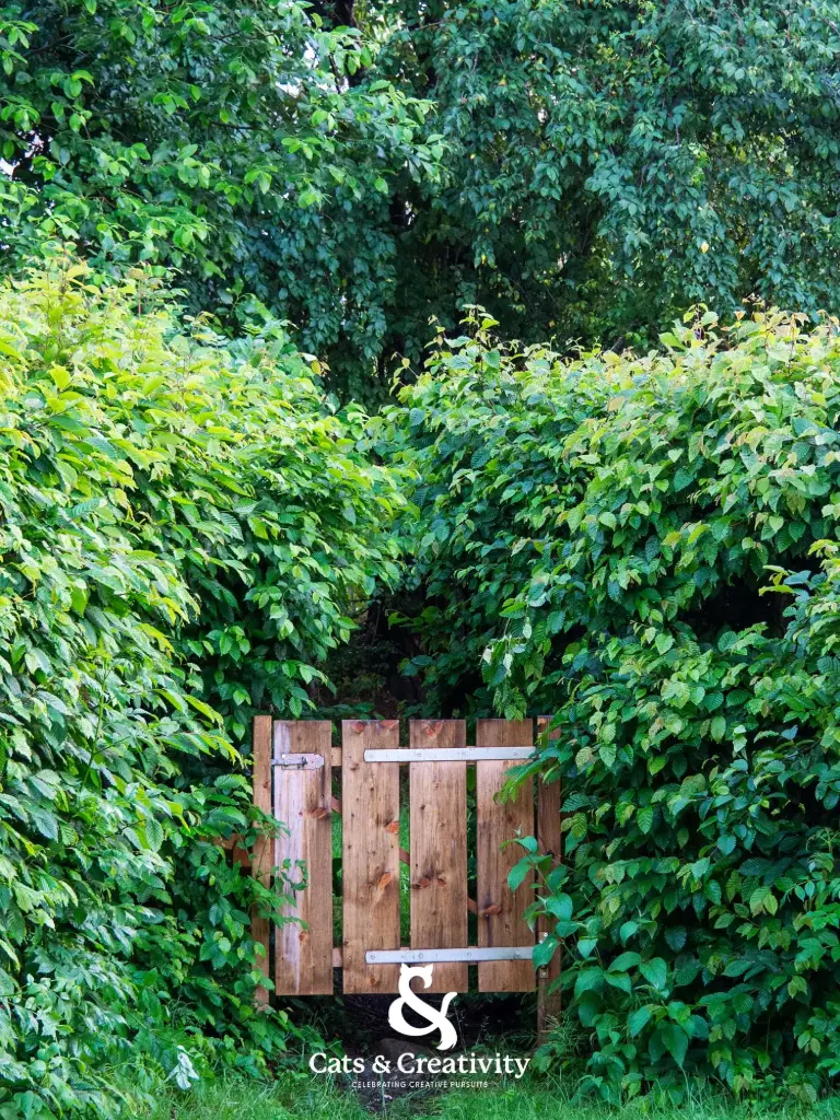 [O008] The Green Gate